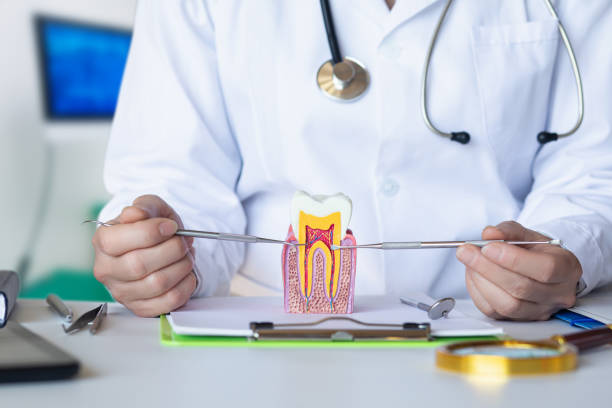 Best Orthodontic Emergency Dentist in Crockett, CA